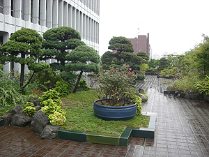 目黒区役所の屋上庭園