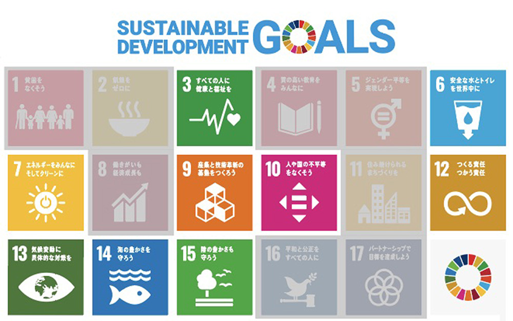 該当するSDGs9項目